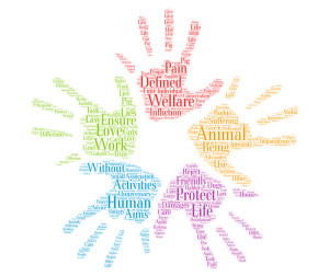 המדריך המלא לגיוס תרומות לארגונים חברתיים