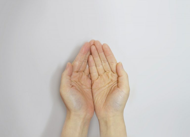 המדריך המלא לגיוס תרומות לארגונים חברתיים.