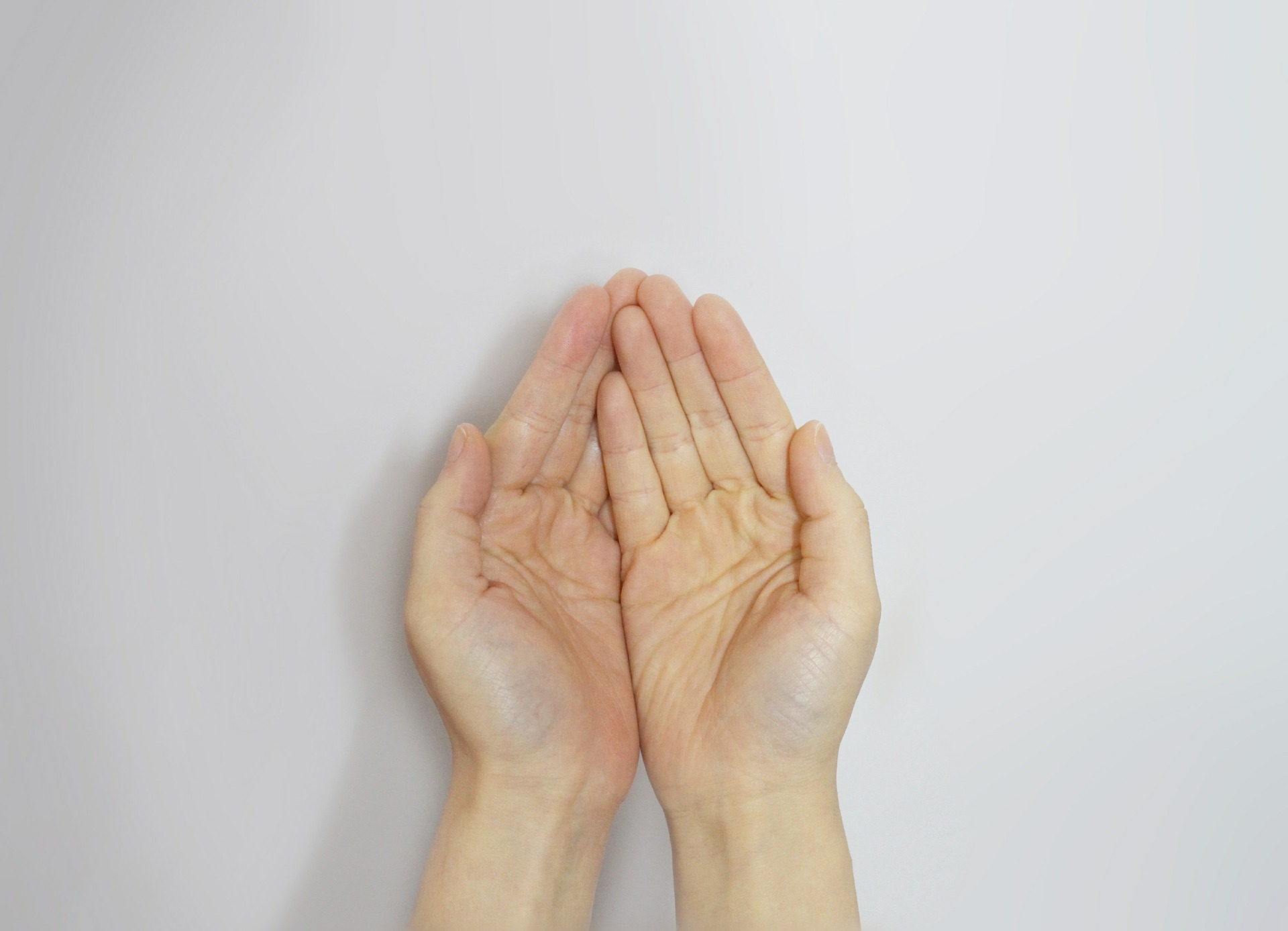 המדריך המלא לגיוס תרומות לארגונים חברתיים.