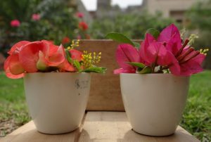 גם אתם יכולים לשדרג את הסלון שלכם בקלות